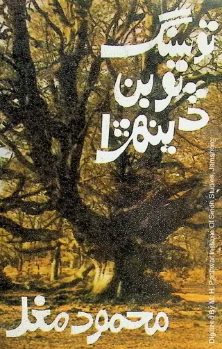 Tū Saṅga Tū Bin Ḍīnhṛā (Aīṁ Biyūn Kahāṇiyūn)