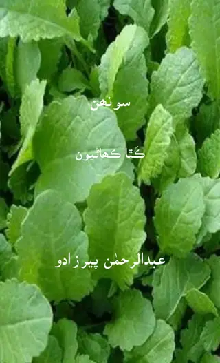 Sūnhan (Kathā Kahāṇiyūn)