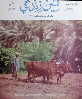 Māhvār Naʼīn Zindagī (Jild 14, Nambar 3, 1961)