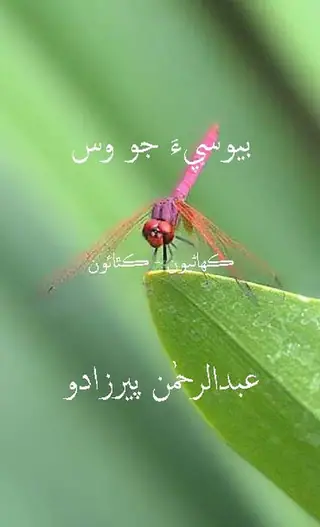 Bewasīʼa Jo Was (Kahāṇiyūn-Kathāʼūn)