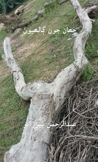 Jahān Jūn Ghālyūn