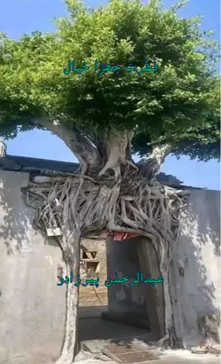 Fitrat Jehra Khiyāl