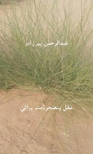 Aqul Panhejo Maṭṭ Parāī