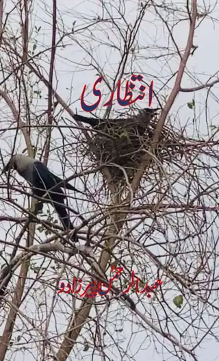 इंतिज़ारी