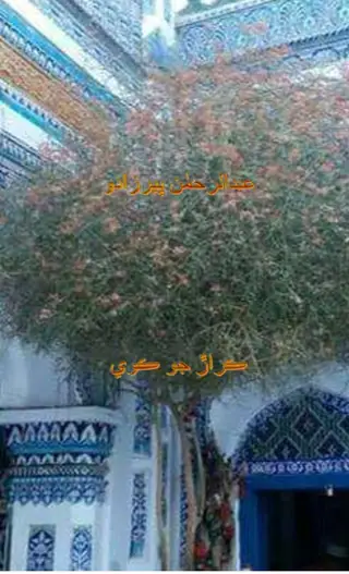 Karār Jo Kavi