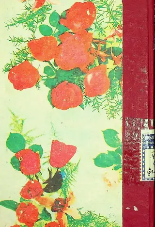 Nāo Sańhitā