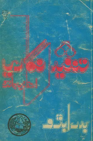 Tanqīd Nigārī