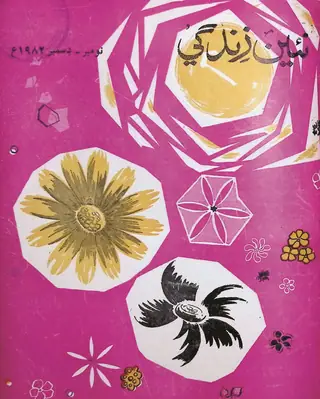 Monthly Na'een Zindagī Vol 35 No 11 12 1982