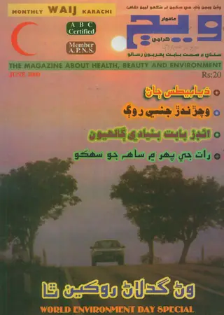 Weej Monthly, Volume 10, Number 2 (2000)