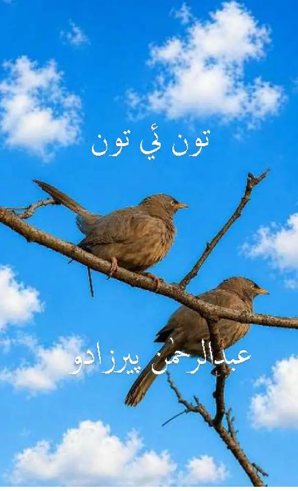 Tū̃ Ī Tū̃