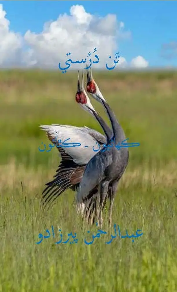 Tan Durustī (Kahāṇīū̃-Kathāū̃)
